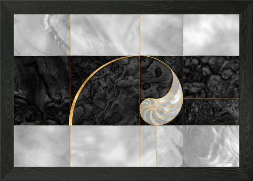 Nautilus muschel gerahmtes - nautilus,
