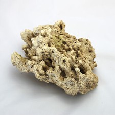 Riffgestein, 24,5x20,5x10,5