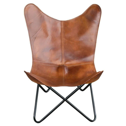 Butterfly lounge chair - lounge,