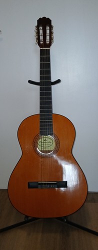 Spanische konzert gitarre - konzert,
