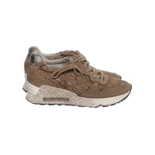 Ash sneaker größe - größe:, 36