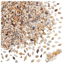 Muscheln 7-12mm Naturmaterial