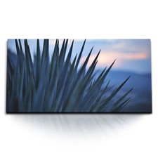 120x80cm Kunstdruck Bilder