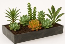 Tablett 32x10x5cm Kunststoff