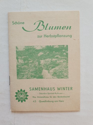Schöne blumen zur - schöne,