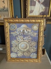 Gerahmter Ernst Haeckel