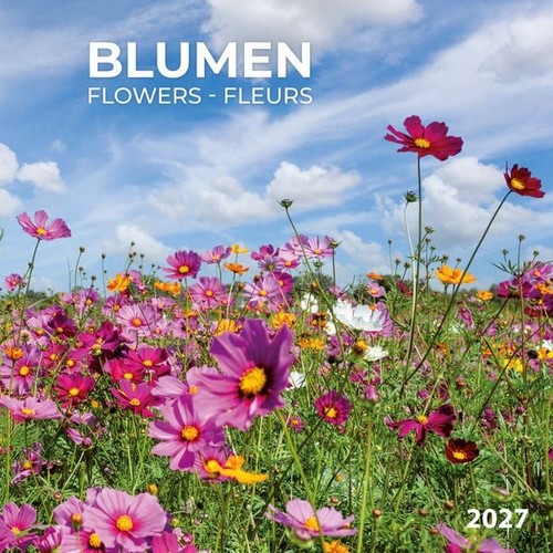 Blumen flowers 2027 kalender - blumen,