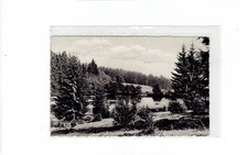 Am Lakenhausteich bei Uslar am