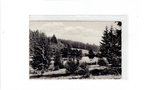 Lakenhausteich bei uslar am - uslar,