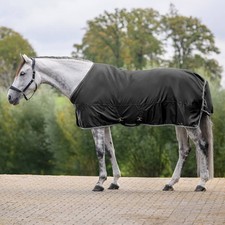 Waldhausen Economic Regendecke