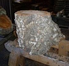 Korkeiche Eiche Baumstamm Stamm Skulptur Holz Klotz Rohling Drechselholz 34x40cm