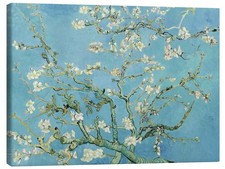 Leinwandbild Mandelblüte -