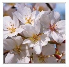 Outdoor Textilposter