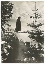 Orig. PRESSE Foto Wache auf Bunker am JAILA GEBIRGE Krim Russland 1941