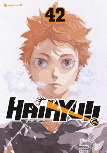 Haikyu band 42 - haikyu!!, haruichi