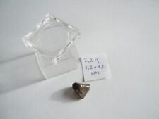 Meteorit Eisenmeteorit Lupendose 2,2 g/1,2 x 1,2 cm