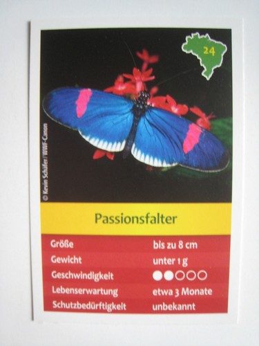 Entdecke brasilien - entdecke,
