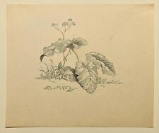 Paul Moralt (1849-1923) 