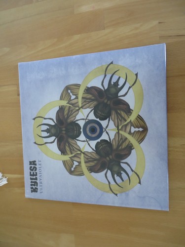 Kylesa vinyl aus - vinyl, sammlung