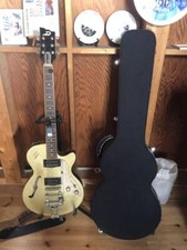 Duesenberg Starplayer TV / E-Gitarre mit Original HC