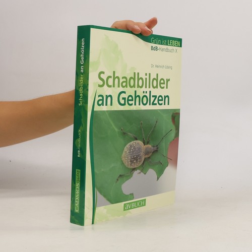 Schadbilder gehölzen - schadbilder, an