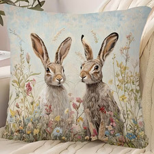 X2 Kaninchen Hase