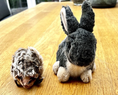 Steiff hase und - igel, vintage