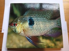 Freude an Fischen - Sammelbilderalbum - Europa Bilderdienst ( komplett ) ca 1970