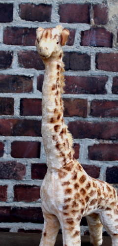 Alte giraffe vintage - giraffe,