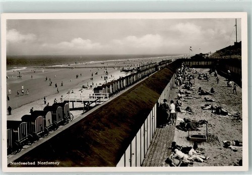 10238146 2982 norderney - 10238146,