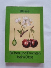 Blühen und fruchten beim Obst