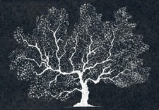 Fototapete Lebensbaum XXL schwarz-weiß 254 X 366 cm 8 teilig inkl. Kleister