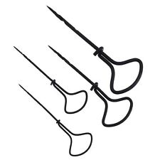 Tifler Kastanienbohrer