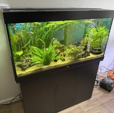 Juwel Rio 350 L Komplett mit