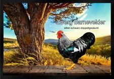 Fußmatte Schmutzfangmatte Hühner Zwerg Barnevelder silber schw. doppelges. F1405