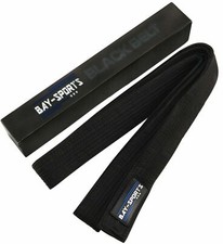 Master Budogürtel Dan schwarz