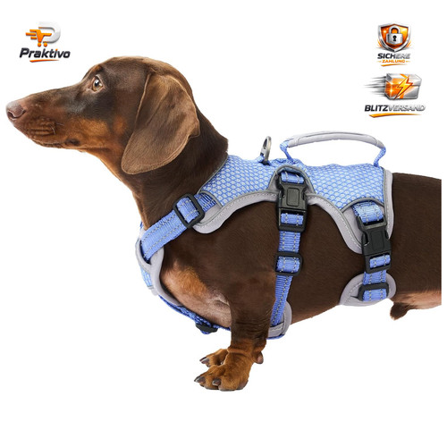 Sicherheitsgeschirr hund - sicherheitsgeschirr,