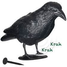 Vogelabwehr Sound-Schreck Rabe