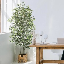 Künstlicher ficus baum - künstlicher,