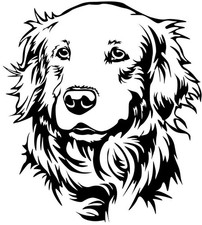 GOLDEN RETRIEVER Aufkleber -