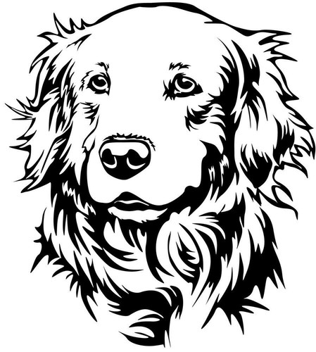 Golden retriever aufkleber - golden,