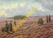 Lüneburger Heide AK  Blühende Heide Künstler AnsichtskarteBernhard de Bruycker