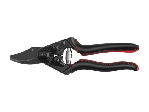 Felco premium baum - baum-,, reb-