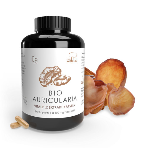 Pilze wohlrab auricularia bio - pilze,