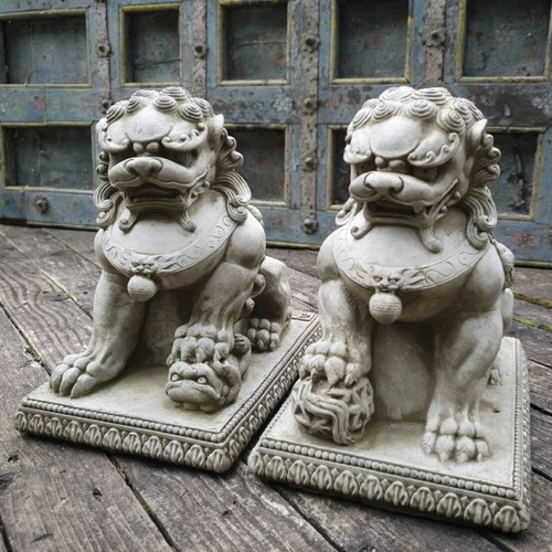 Paar foo hund steinstatuen - paar, |