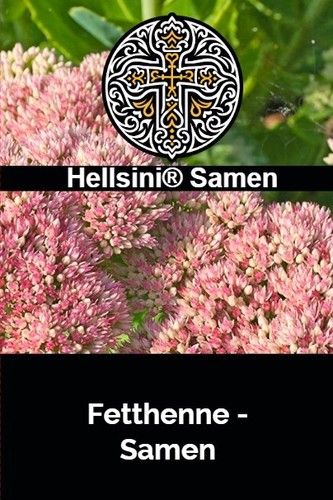 Fetthenne wildform sedum - fetthenne,,