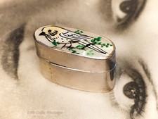 Vogel-Wellensittich-winziges