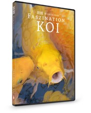 Nishikigoi | FASZINATION KOI