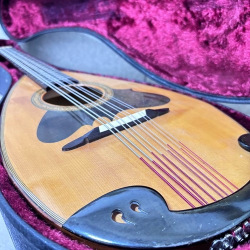 Suzuki 515 mandola - md-515,
