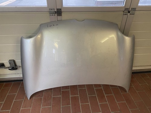 Motorhaube lupo silber ohne - lupo,